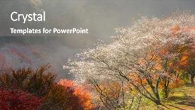  Presentation with summer winter autumn spring - PPT layouts having toyota - nagoya obara autumn landscape background and a  colored foreground