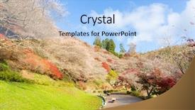  Presentation with sakura - Presentation design enhanced with toyota - nagoya obara autumn landscape background and a light blue colored foreground