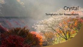  Presentation with sakura - Presentation theme with toyota - nagoya obara autumn landscape background and a mint green colored foreground