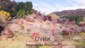  Presentation with sakura - Amazing theme having toyota - nagoya obara autumn landscape backdrop and a coral colored foreground