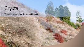  Presentation with sakura - Presentation consisting of toyota - nagoya obara autumn landscape background and a light blue colored foreground