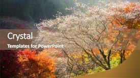  Presentation with landscape architecture portfolio - Slide set enhanced with toyota - nagoya obara autumn landscape background and a coral colored foreground