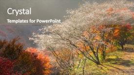  Presentation with how to design a landscape - Presentation theme featuring toyota - nagoya obara autumn landscape background and a gray colored foreground