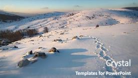  Presentation with purple floral snow - Presentation theme enhanced with traces of hiker with snowshoes background and a seafoam green colored foreground