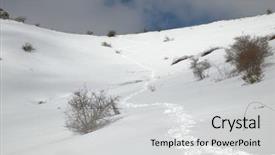  Presentation with dust of snow - Cool new PPT theme with traces of hiker with snowshoes backdrop and a light gray colored foreground