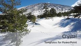  Presentation with paw prints - Presentation design featuring traces of hiker with snowshoes background and a light blue colored foreground