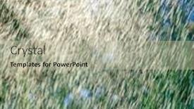  Presentation with irrigation - Slide deck featuring traces-of-water-drops-illuminated background and a mint green colored foreground