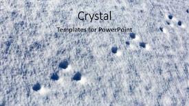  Presentation with footprints - Slide deck having paw tracks - footprints in the snow background and a light blue colored foreground
