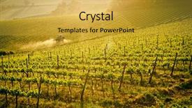  Presentation with agriculture farm machinery spraying insecticide - Slide set having tracteurs - tuscan vineyard at sunrise tractor background and a  colored foreground