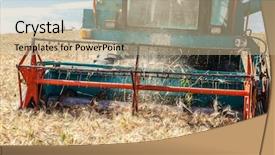  Presentation with tractor - Beautiful presentation featuring tractor cut rice backdrop and a coral colored foreground