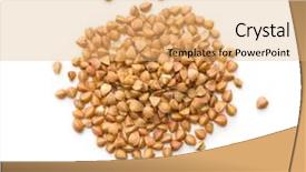  Presentation with dry - Colorful slide deck enhanced with traditional agriculture - dry healthy buckwheat isolated backdrop and a yellow colored foreground
