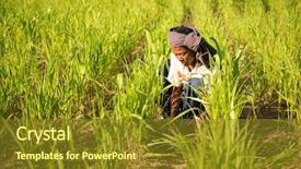  Presentation with asia traditional - Audience pleasing PPT theme consisting of vuvuzela supporting football team backdrop and a gray colored foreground