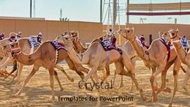  Presentation with camel - PPT layouts having traditional-camel-dromadery-race background and a coral colored foreground