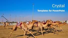  Presentation with qatar - Amazing PPT layouts having traditional-camel-dromadery-race backdrop and a teal colored foreground