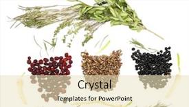  Presentation with traditional chinese medicine - Presentation with traditional chinese herbal medicine ingredients isolated on white background and a lemonade colored foreground