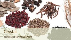  Presentation with traditional chinese medicine - PPT layouts with chinese herbal medicine ingredients close background and a cream colored foreground