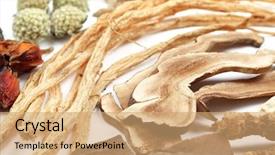  Presentation with traditional chinese medicine - Beautiful theme featuring traditional chinese medicine on white backdrop and a coral colored foreground