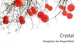 Presentation with chinese lantern - Colorful presentation design enhanced with traditional chinese red lantern hanging backdrop and a  colored foreground