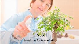  Presentation with bonsai - Audience pleasing presentation theme consisting of beautiful woman wearing traditional chinese uniform watering bonsai tree backdrop and a coral colored foreground