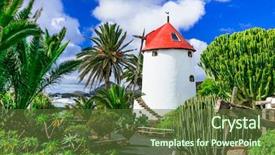  Presentation with cactus - Amazing theme having traditional countryside of lanzarote island backdrop and a tawny brown colored foreground