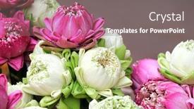  Presentation with white lotus flower - Presentation theme consisting of traditional-flowers-offering-for-donation background and a gray colored foreground