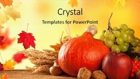  Presentation with free traditional - Cool new presentation design with woman feeding goats at a farm in the zoo garden backdrop and a dark gray colored foreground