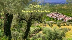  Presentation with olive trees - Slide set featuring traditional-hill-top-medieval-villages background and a tawny brown colored foreground