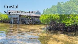  Presentation with philippine - PPT layouts having traditional house at mangroves forest background and a light blue colored foreground