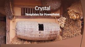  Presentation with traditional - Amazing slide deck having traditional image backdrop and a tawny brown colored foreground