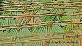  Presentation with palm leaves - Presentation theme with traditional-karen-roof-made background and a yellow colored foreground