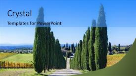  Presentation with tuscany - Presentation theme with traditional landscape of tuscany - vineyards background and a light blue colored foreground
