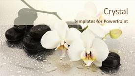  Presentation with white flowers - Slide deck featuring stability medicine - spa stones and orchid flowers background and a cream colored foreground