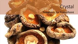  Presentation with pressed and dried flowers - Colorful PPT layouts enhanced with traditional medicine - dried shiitake mushrooms backdrop and a red colored foreground