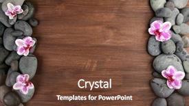  Presentation with traditional medicine medicine - Audience pleasing theme consisting of traditional medicine - spa stones and orchid backdrop and a tawny brown colored foreground