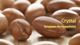  Presentation with moroccan - Audience pleasing PPT layouts consisting of traditional moroccan argan nuts backdrop and a tawny brown colored foreground