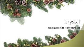  Presentation with spruce - Colorful slides enhanced with traditional natural christmas background border with mistletoe spruce fir and pine cones over white with copy space backdrop and a white colored foreground