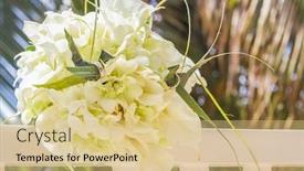  Presentation with tree rings - Slides featuring traditional philippino palm tree birds with wedding rings on wedding bouquet background background and a lemonade colored foreground