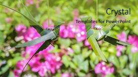  Presentation with tree rings - PPT theme enhanced with traditional philippino palm tree birds with wedding rings on natural background background and a yellow colored foreground