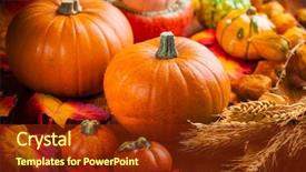  Presentation with traditional - Presentation theme having traditional pumpkins for thanksgiving background and a tawny brown colored foreground