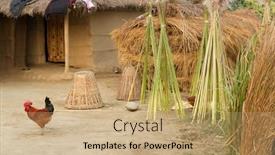  Presentation with hut - Amazing PPT layouts having traditional-rural-farm-hut backdrop and a coral colored foreground