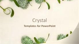  Presentation with new season - PPT layouts featuring traditional-snow-covered-fir-mistletoe background and a cream colored foreground