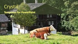  Presentation with farm house - PPT layouts consisting of traditional-swiss-farm-house background and a tawny brown colored foreground