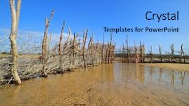  Presentation with traditional vietnamese soup pho - Cool new PPT theme with traditional tsonga fish trap built backdrop and a light blue colored foreground