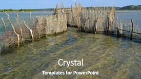  Presentation with traditional vietnamese soup pho - Amazing slide deck having traditional tsonga fish trap built backdrop and a gray colored foreground