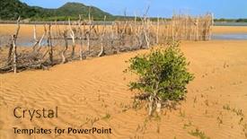  Presentation with traditional vietnamese soup pho - Presentation with traditional-tsonga-fish-trap-built background and a  colored foreground