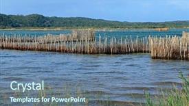  Presentation with traditional vietnamese soup pho - PPT theme enhanced with traditional tsonga fish traps built background and a seafoam green colored foreground