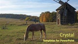  Presentation with windmill - Cool new PPT theme with traditional ukrainian autumn rural view with windmill and horse backdrop and a tawny brown colored foreground