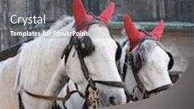  Presentation with vienna - Audience pleasing PPT theme consisting of traditional-wedding-coach-fiaker backdrop and a dark gray colored foreground