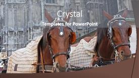  Presentation with vienna - Amazing presentation theme having traditional-wedding-coach-fiaker backdrop and a gray colored foreground