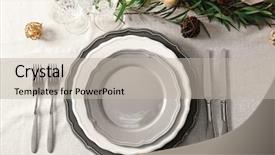  Presentation with dinner - Audience pleasing theme consisting of traditional wedding invitation - table served with plants backdrop and a mint green colored foreground